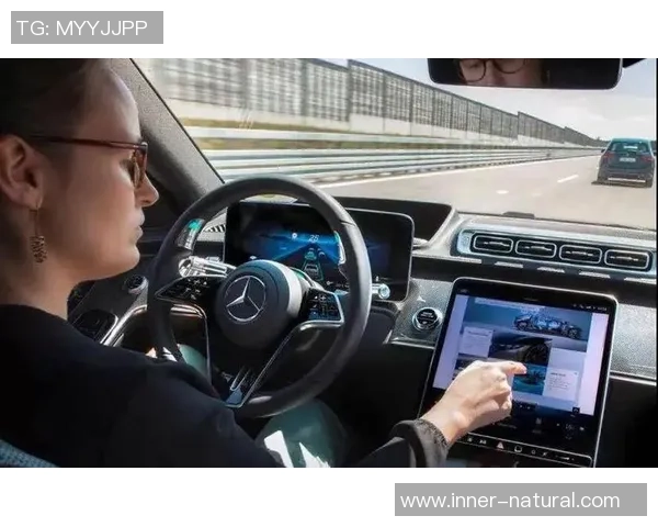 科目三姚明的驾驶之路与篮球生涯的精彩交织